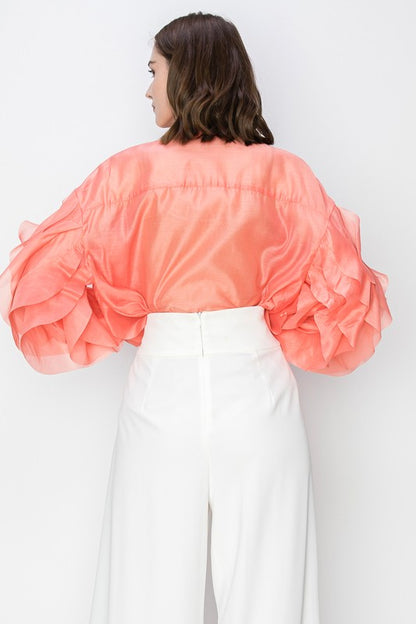 Long Sleeve Ruffled Organza Blouse
