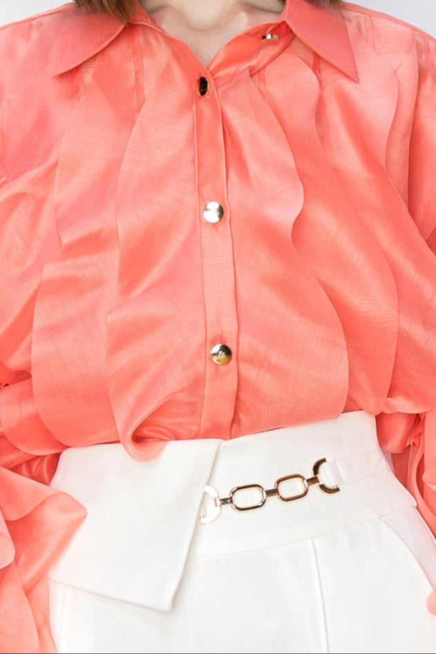 Long Sleeve Ruffled Organza Blouse