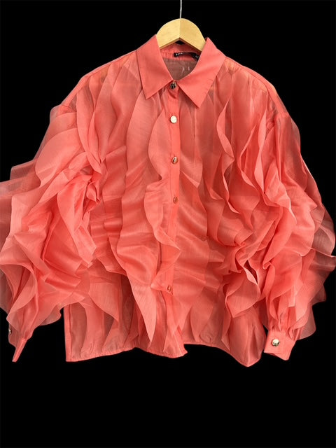 Long Sleeve Ruffled Organza Blouse