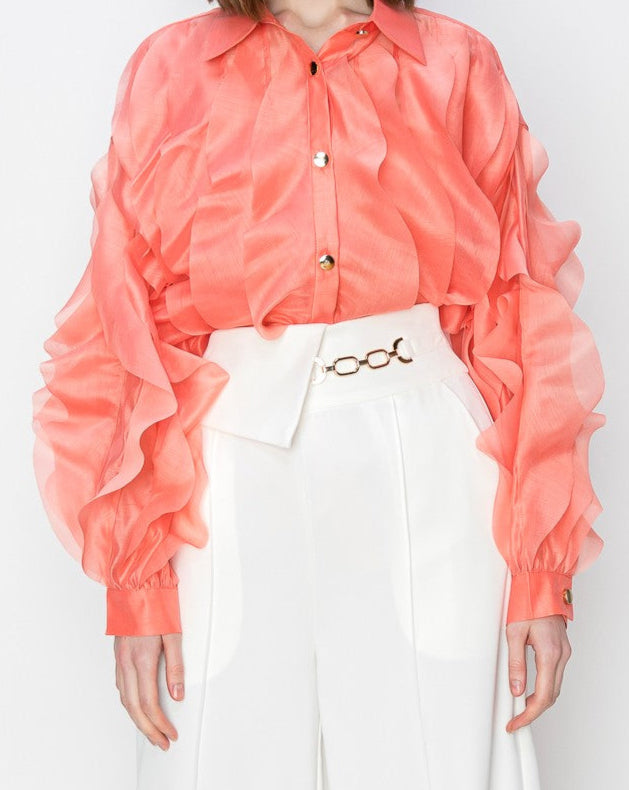Long Sleeve Ruffled Organza Blouse